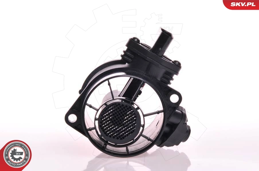 Mass Air Flow Sensor